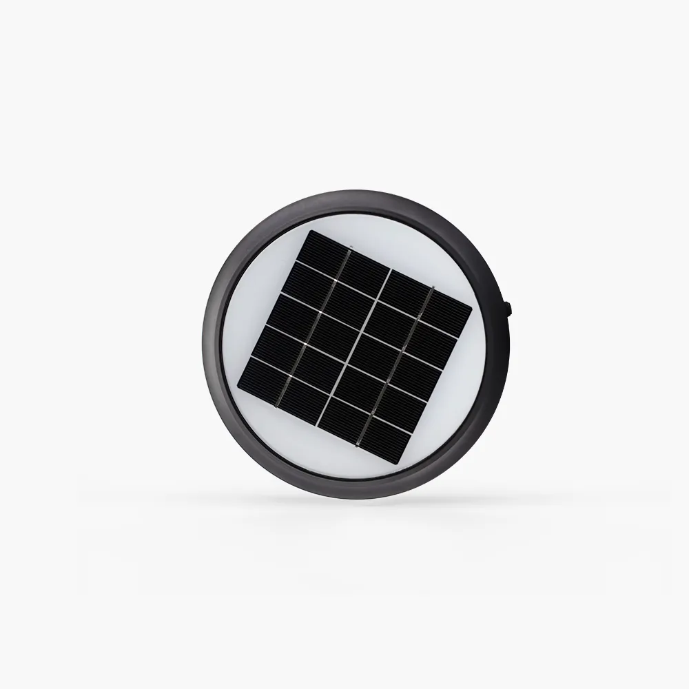 Đèn sân vườn năng lượng mặt trời DSV01 Lens sóng nước 2W thumb 2