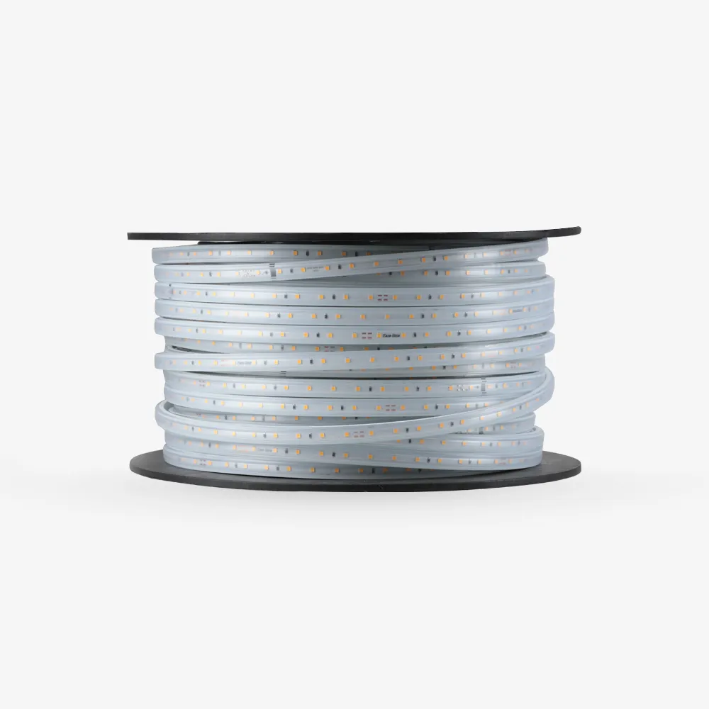 Đèn Led dây LD03 1000/7W