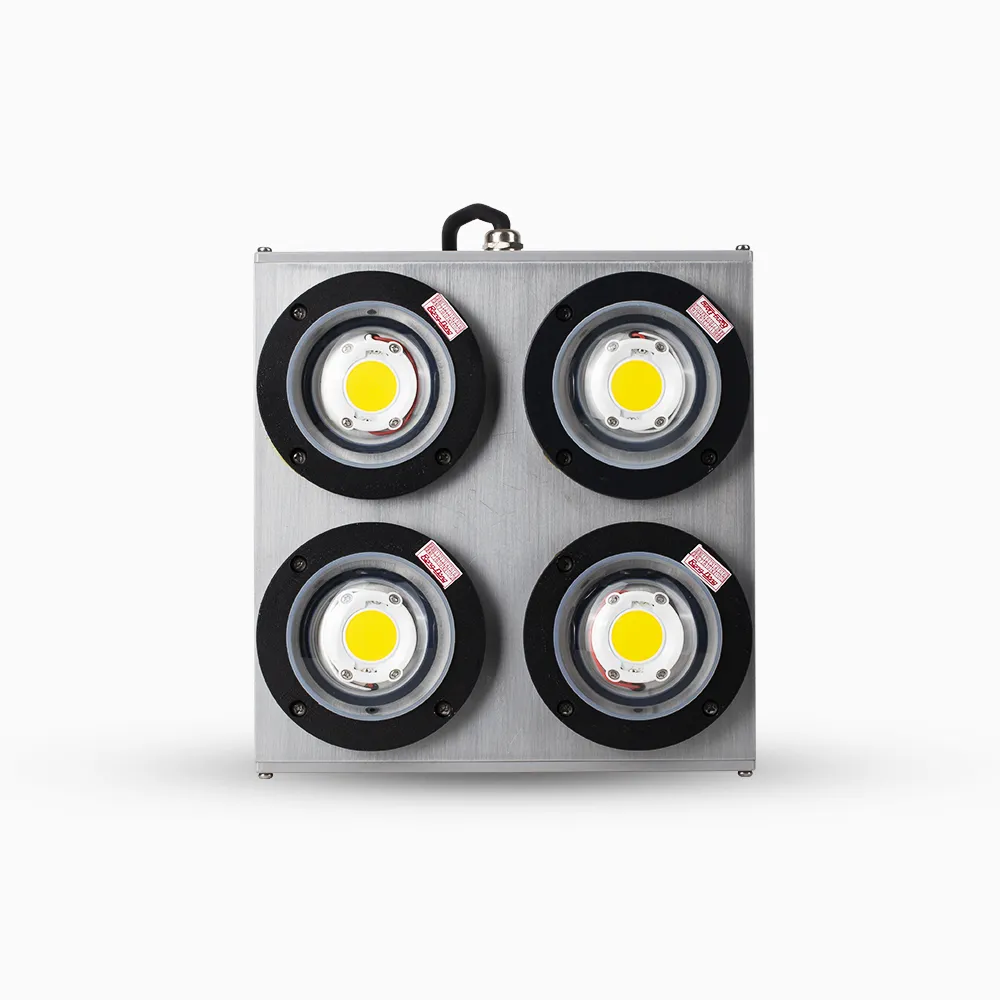 Đèn LED đánh cá DC08 500W COB