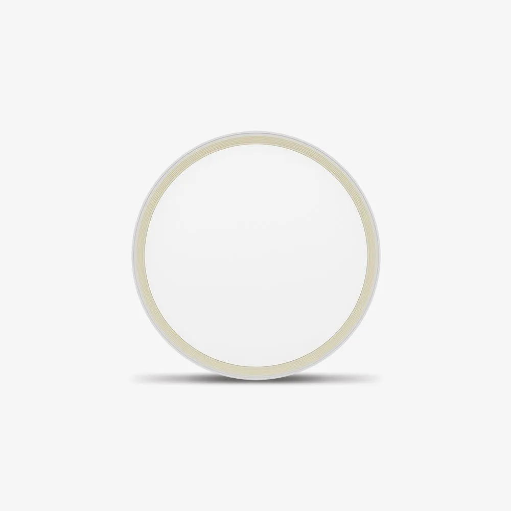 Đèn LED ốp trần thông minh LN28 bluetooth 400/40W