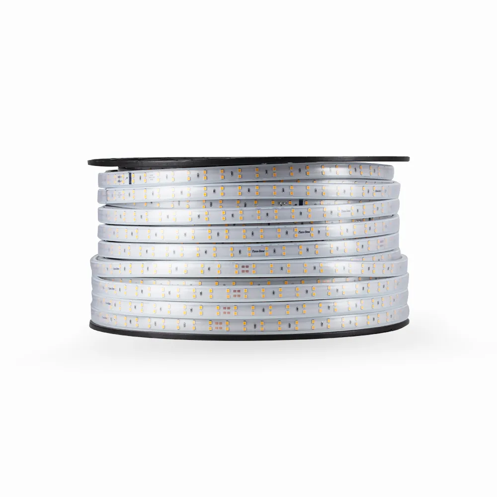 Đèn Led dây LD03 1000/10W